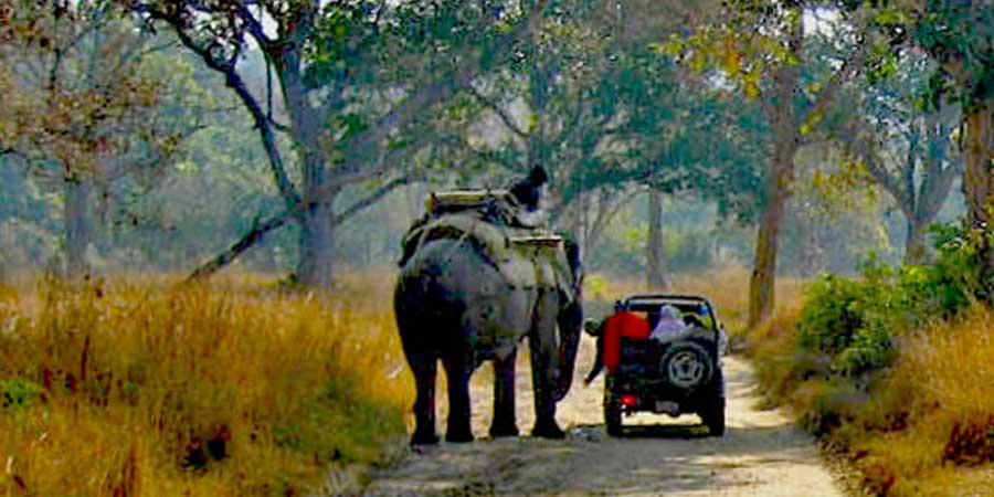 Corbett Jeep Safari