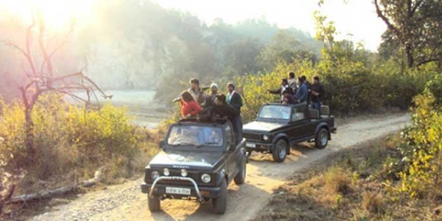 Corbett Jeep Safari